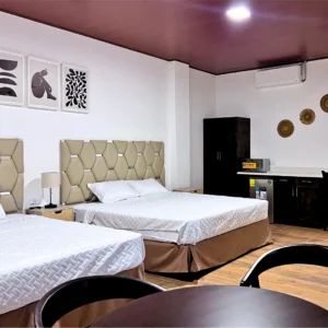 Suite Aire de Montaña #1