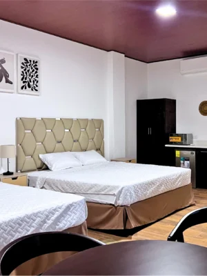 Suite Aire de Montaña #1