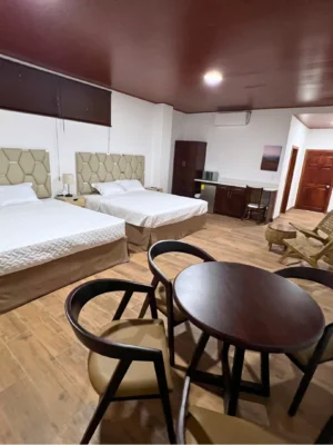 Suite Aire de Montaña #2