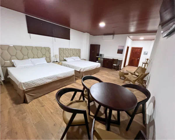 ht-s2-03_1 Suite Aire de Montaña #2