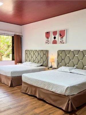 Suite Aire de Montaña #3