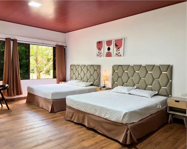 Suite Aire de Montaña #3