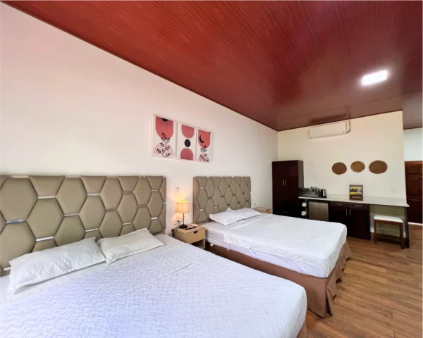 Suite Aire de Montaña #3