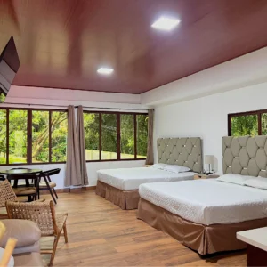 Suite Aire de Montaña #4