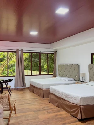 Suite Aire de Montaña #4