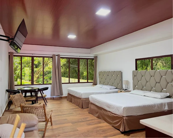 Suite Aire de Montaña #4