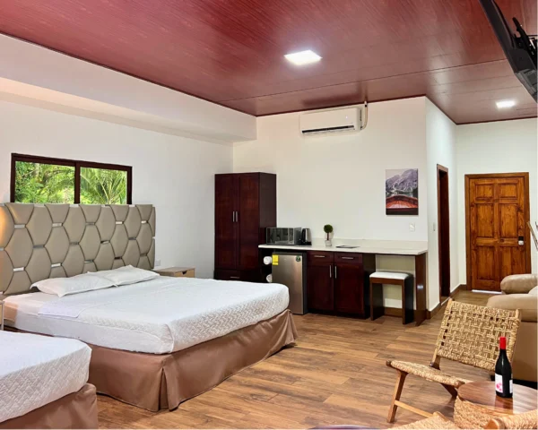 Suite Aire de Montaña #4