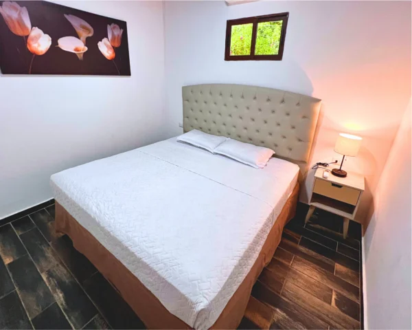 Suite Aire de Montaña Jr #5