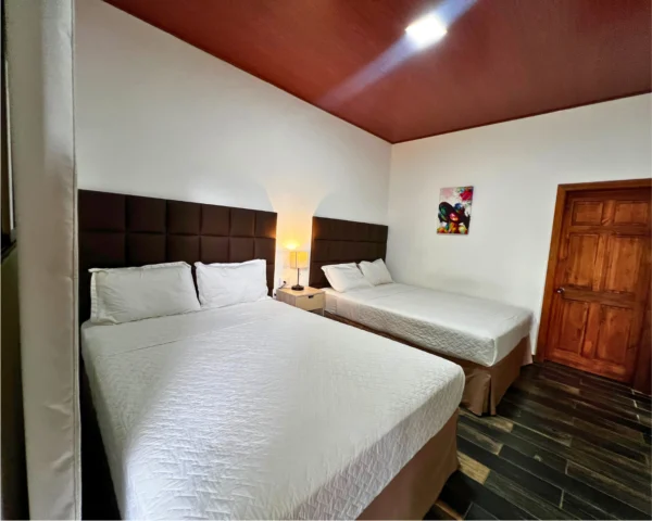 Suite Aire de Montaña Jr #6