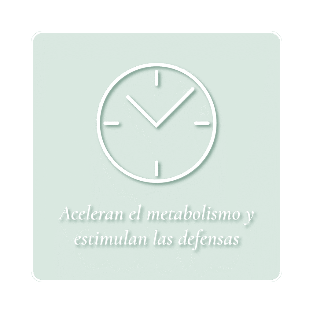 iconos aguas termales_Mesa de trabajo 1 copia 2