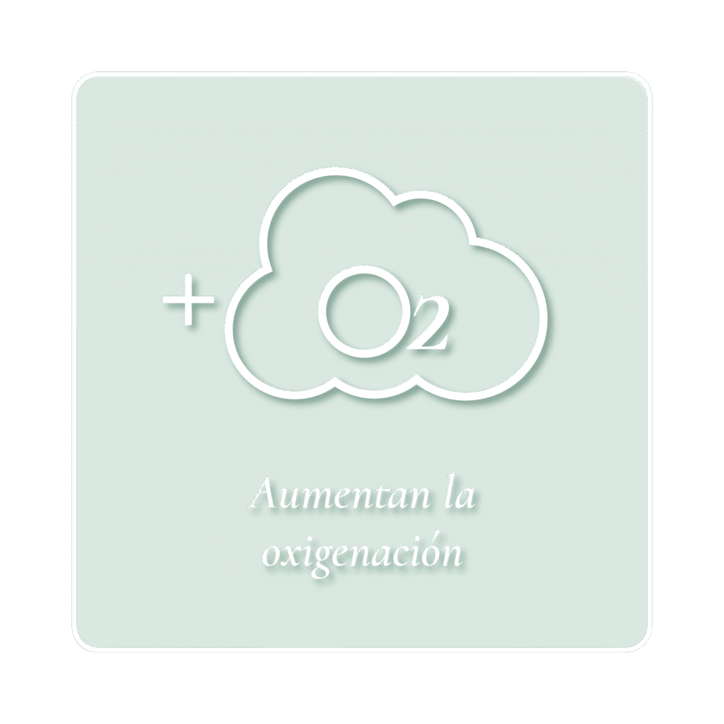 iconos aguas termales_Mesa de trabajo 1 copia 4